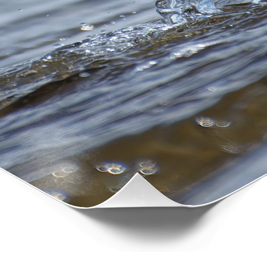 Affiche de la nature commune (Coin)