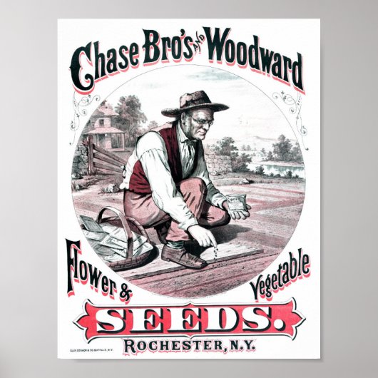 Affiche de la publicité vintage des semences (Devant)