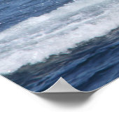 affiche de la queue des baleines à bosse (Coin)