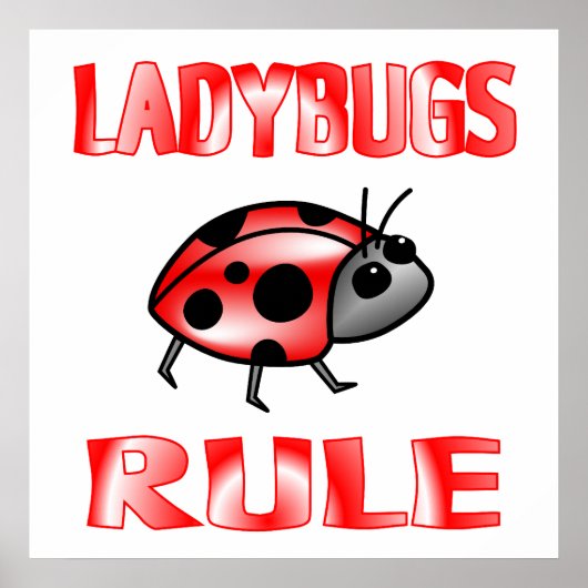 AFFICHE DE LA RÈGLE DE LADYBUGS (Devant)