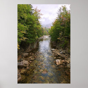 Affiche de la rivière à travers la forêt nature
