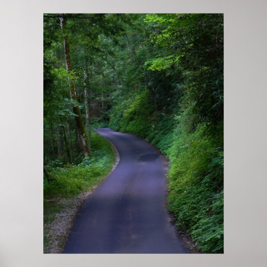 Affiche de la route nationale (Devant)