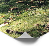 Affiche de la scène de cimetière (Coin)