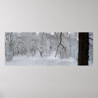 Affiche de la scène de neige d'hiver Imprimer
