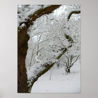 Affiche de la scène de neige d'hiver Imprimer