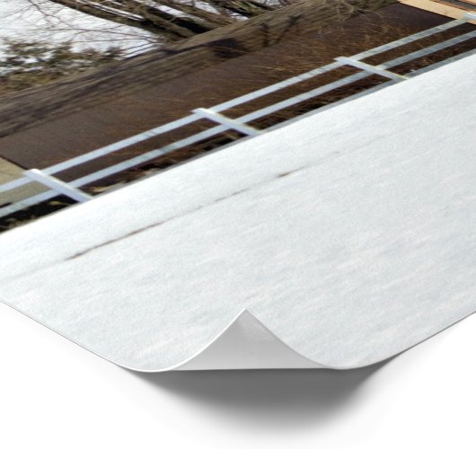 Affiche de la scène d'hiver (Coin)