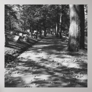 Affiche de la scène du cimetière