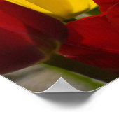 Affiche de la Semaine des infirmières Les tulipes (Coin)