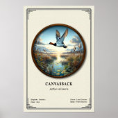Affiche de la série de zoologie Canvasback (Devant)