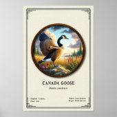 Affiche de la série de zoologie de la bernache du (Devant)