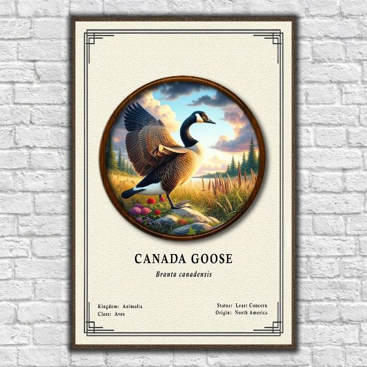Affiche de la série de zoologie de la bernache du