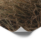 Affiche de la soirée de la veille du dîner de répé (Coin)