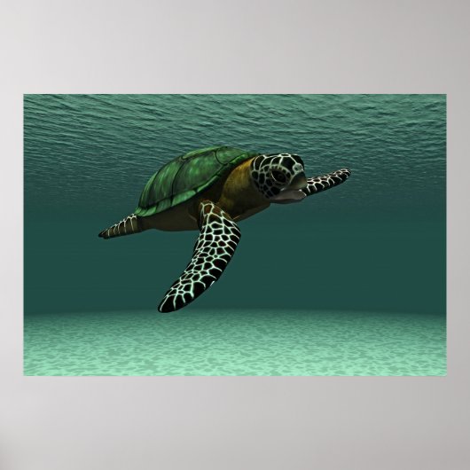 Affiche de la tortue de mer (Devant)