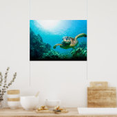 Affiche de la tortue de mer (Cuisine)