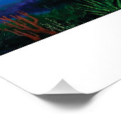 Affiche de la tortue verte (Coin)