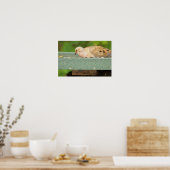 Affiche de la Tourterelle triste (Cuisine)