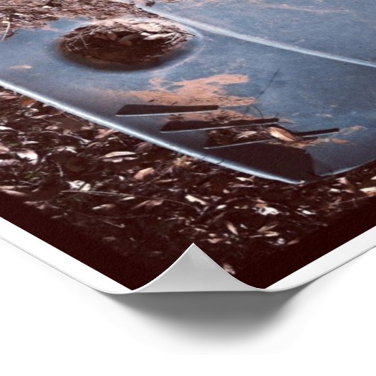 Affiche de la trilogie de Pareidolia (Coin)