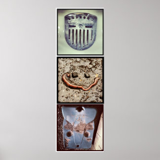 Affiche de la trilogie de Pareidolia