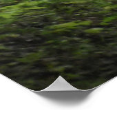 Affiche de la voie de pays (Coin)