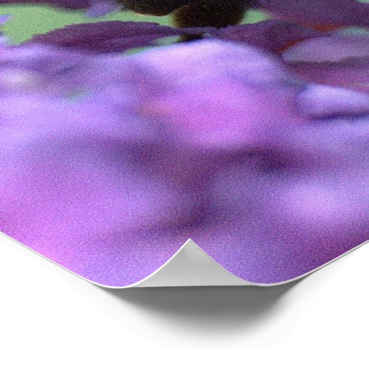 Affiche de l'abeille miel (Coin)