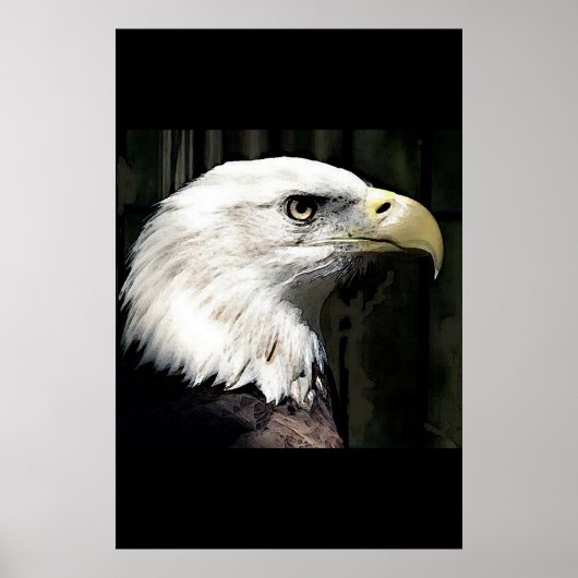Affiche de l'aigle américain Poster Prints Aigles (Devant)