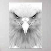 Affiche de l'aigle blanc (Devant)