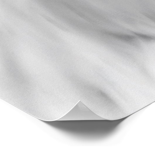 Affiche de l'aigle blanc (Coin)