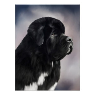 Affiche de Landseer Terre-Neuve d'ours de Notta