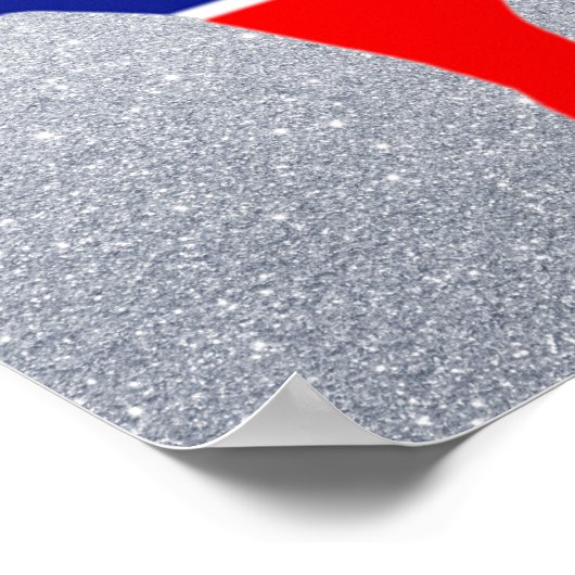 affiche de l'âne démocrate (Coin)