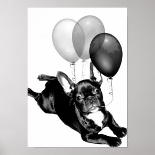 Affiche de l'anniversaire de la France