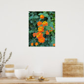 Affiche de Lantana (Cuisine)