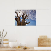 AFFICHE DE L'ARBRE BOAB (Cuisine)