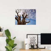 AFFICHE DE L'ARBRE BOAB (Bureau à domicile)