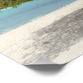 Affiche de l'arbre Divi-divi d'Aruba (Coin)