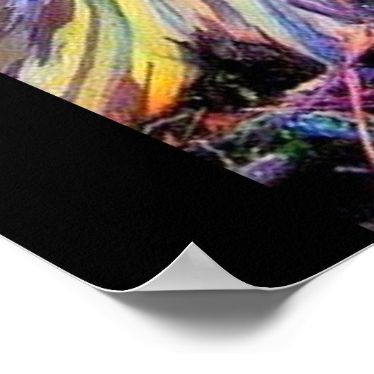 affiche de l'ARBRE EUCALYPTUS RAINBOW HAWAII (Coin)