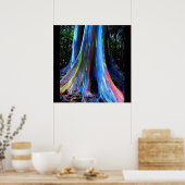 affiche de l'ARBRE EUCALYPTUS RAINBOW HAWAII (Cuisine)