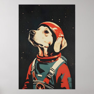 Affiche de l'astronaute Retriever de la baie de Ch