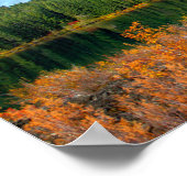 Affiche de l'automne à Clear Lake (Coin)