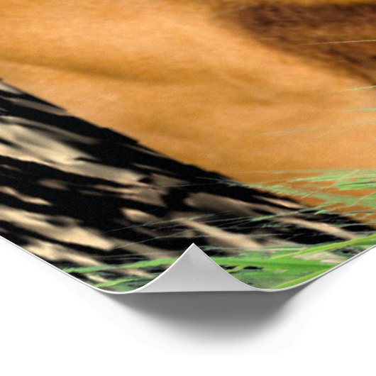 Affiche de l'Ecriture chrétienne (Coin)