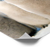 Affiche de l'empereur Penguin Chicks (Coin)