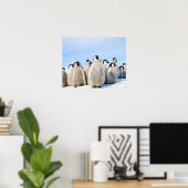 Affiche de l'empereur Penguin Chicks (Bureau à domicile)