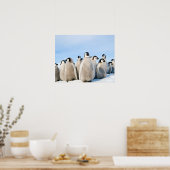 Affiche de l'empereur Penguin Chicks (Cuisine)