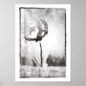 affiche de l'empreinte de léopard maschera (Devant)