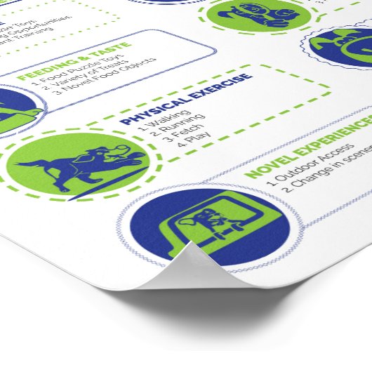 Affiche de l'enrichissement de Canine (Coin)