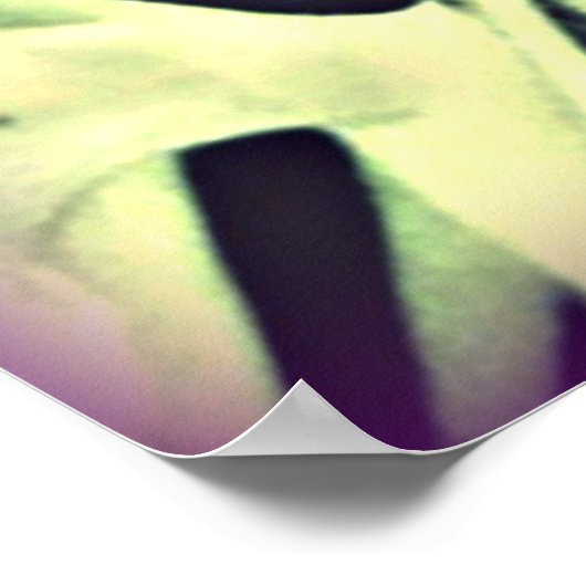 Affiche de l'Esprit Saint Columbine (Coin)