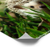 Affiche de l'Explorateur (Coin)