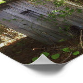 Affiche de l'extérieur dans les bois (Coin)