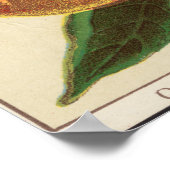 Affiche de l'extrait de saveur vintage (Coin)