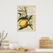 Affiche de l'extrait de saveur vintage (Cuisine)