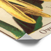 Affiche de l'extrait de saveur vintage (Coin)